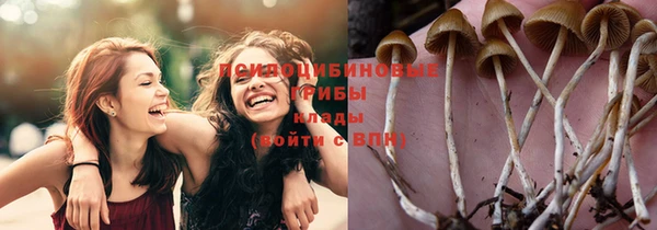 каннабис Абаза