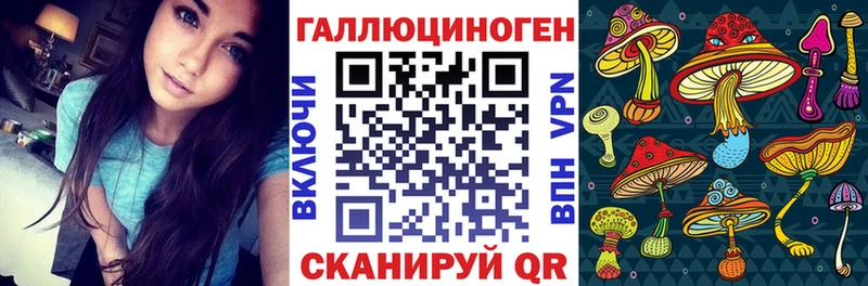 Псилоцибиновые грибы прущие грибы  Приморско-Ахтарск 